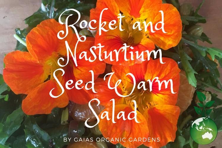 Warm Nasturtium Seed & Rocket Salad