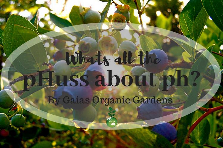 What is all the pH-uss about pH?