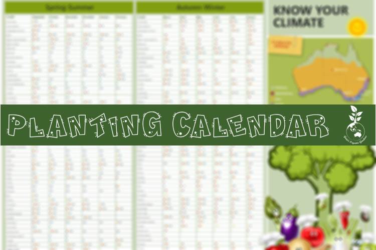 Planting Calendar