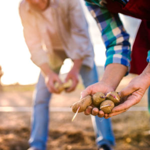 FREE Download : Planting Calendar