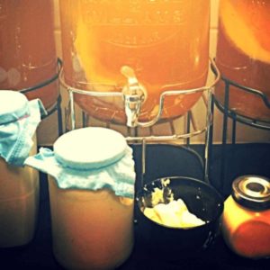 Fermenting and Cooking with your Garden Produce: Workbook