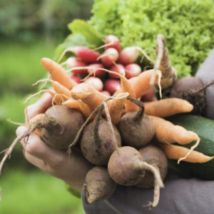 FREE Download : Growing food for free