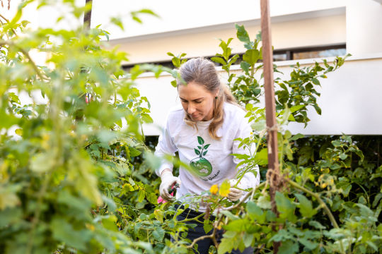 organic maintenance