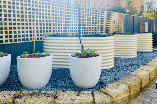 Raised Garden Beds