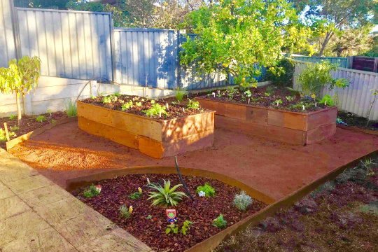 Edible Organic Garden Design