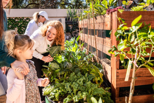 Organic Vegetable Gardens